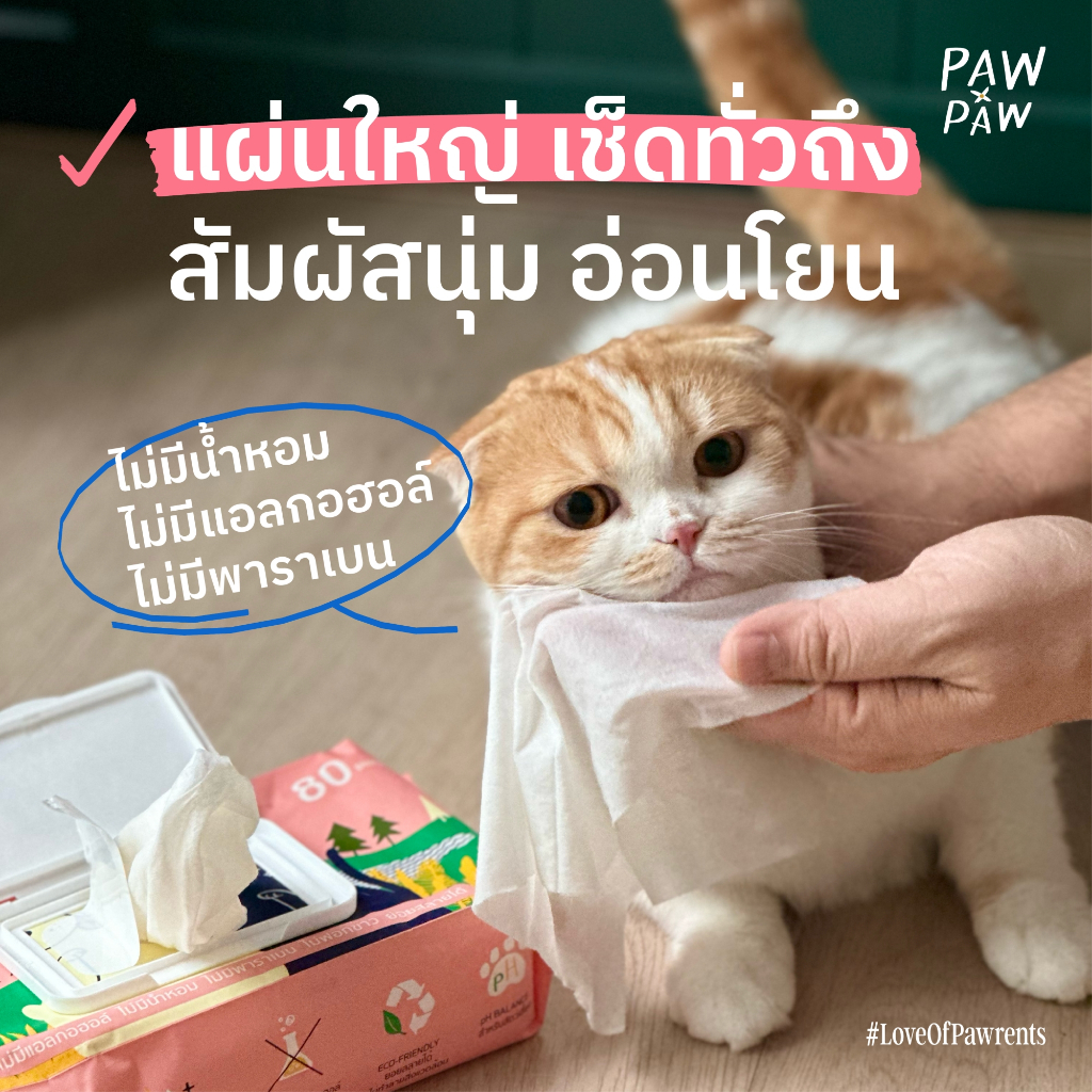 [3แพคใหญ่] พอว์พอว์ ผ้าเปียกสัตว์เลี้ยง เส้นใยธรรมชาติ อ่อนโยน สุนัข แมว (80 แผ่น) PAWxPAW ผ้าเปียกพอว์พอว์ - รูปที่ 5