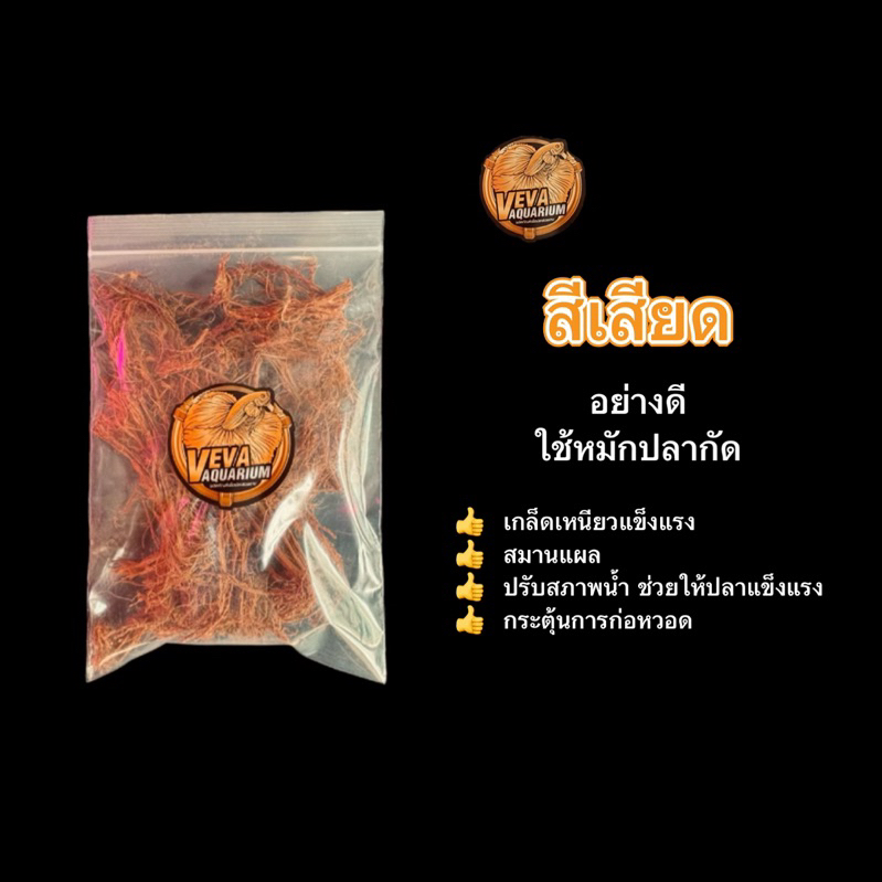 สีเสียด เหมาะสำหรับหมักปลากัดโดยเฉพาะ