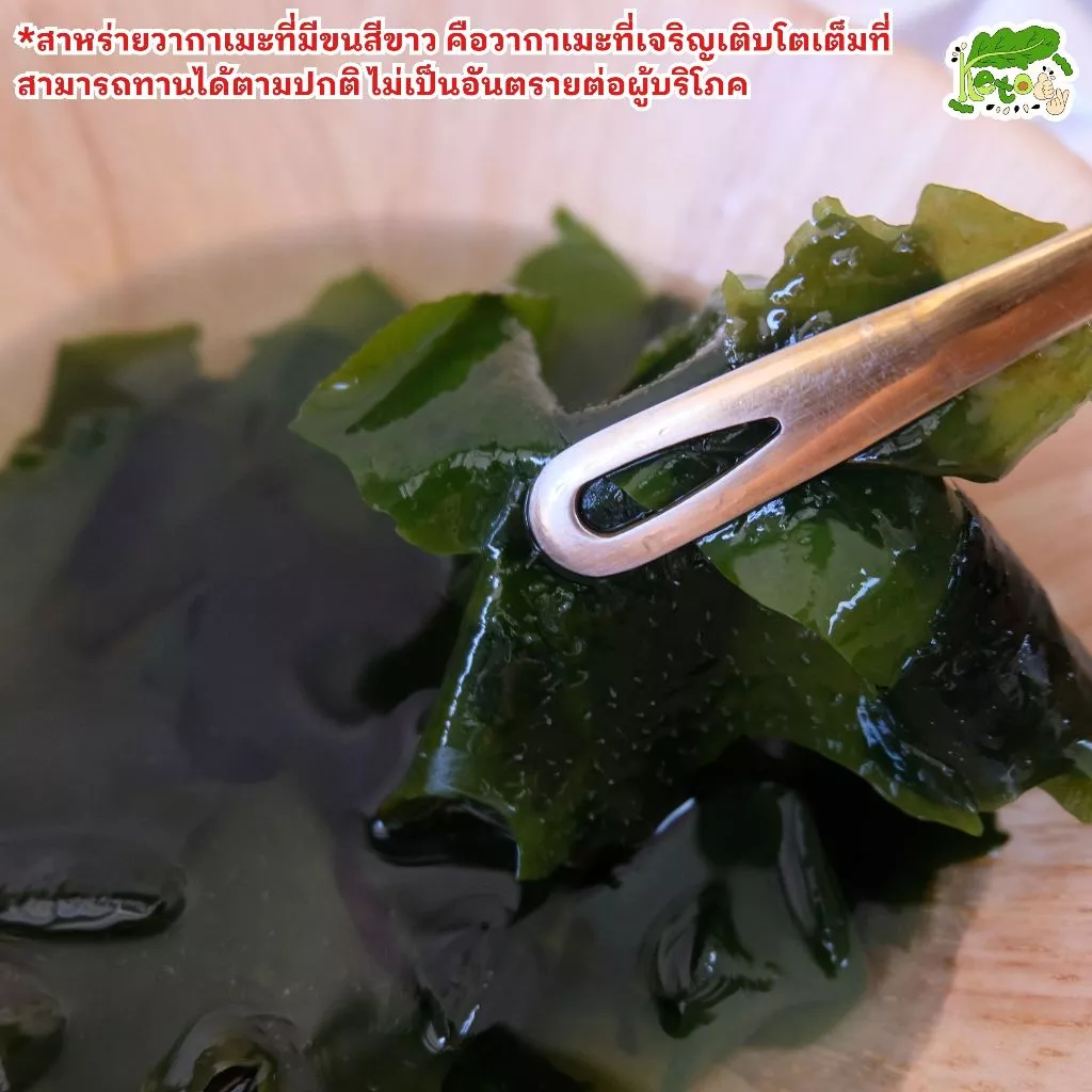 สาหร่ายวากาเมะแห้ง สาหร่ายคีโต Dried Wakame Seaweeds thumbnail 8