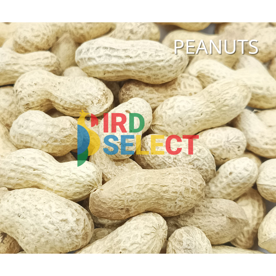 ถั่วลิสง บรรจุกระสอบ 20 กก.