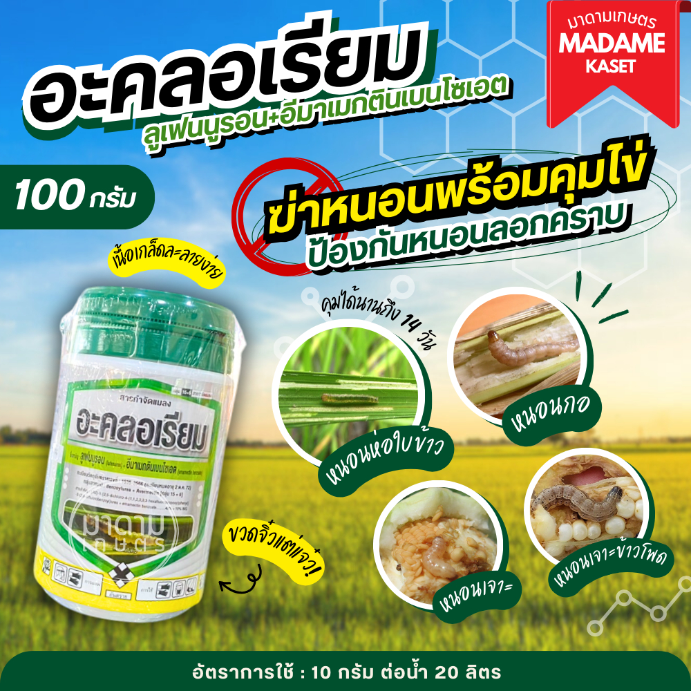 ใหม่!! อะคลอเรียม 100 กรัม คุ้มกว่า!! 2 พลังบวก ลูเฟนนูรอน + อีมาเมกติน ป้องกันหนอนลอกคราบและคุมไข่ ฤทธิ์เย็น