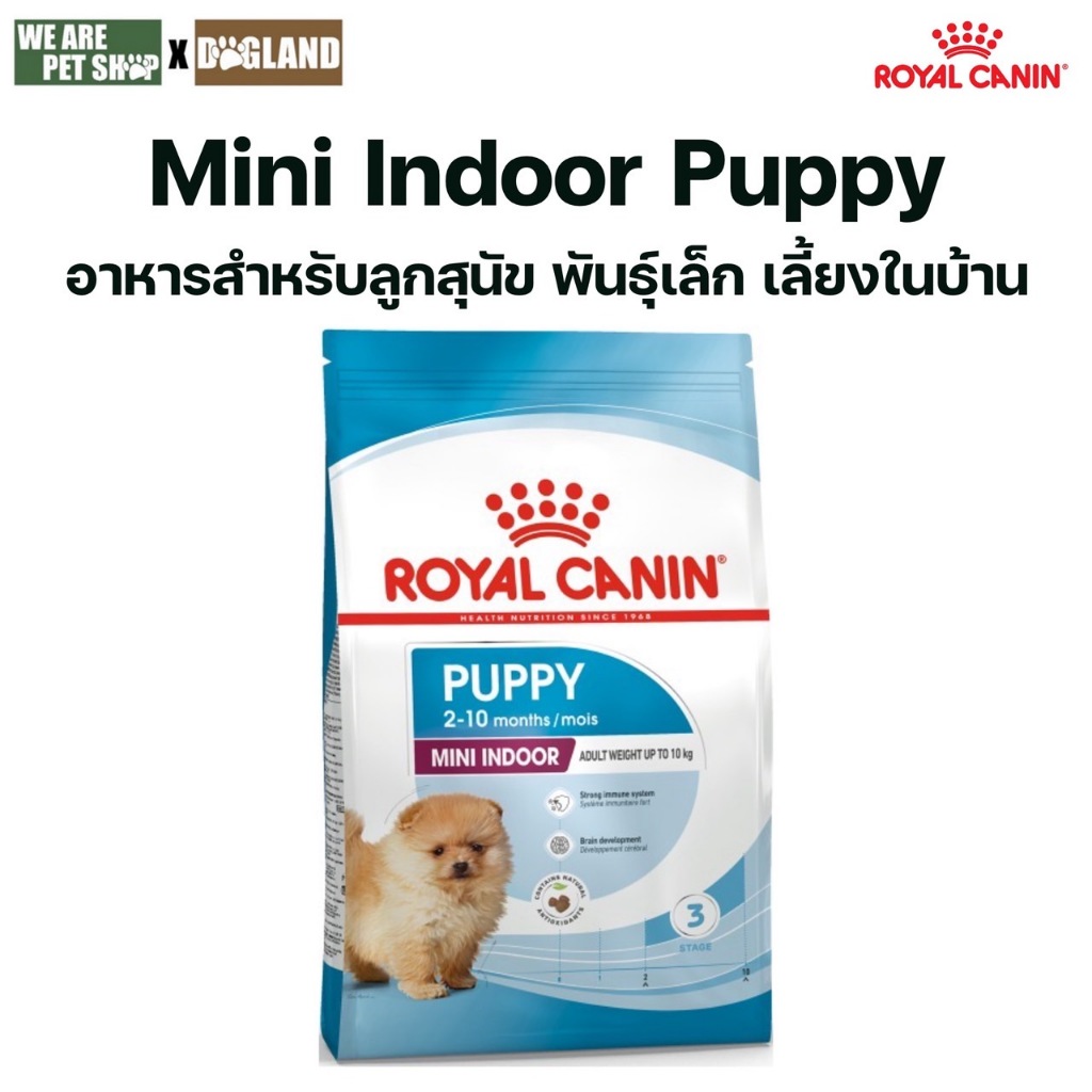 Royal Canin Dog MINI 8kg - 16kg อาหารสุนัข พันธุ์เล็ก ชนิดเม็ด