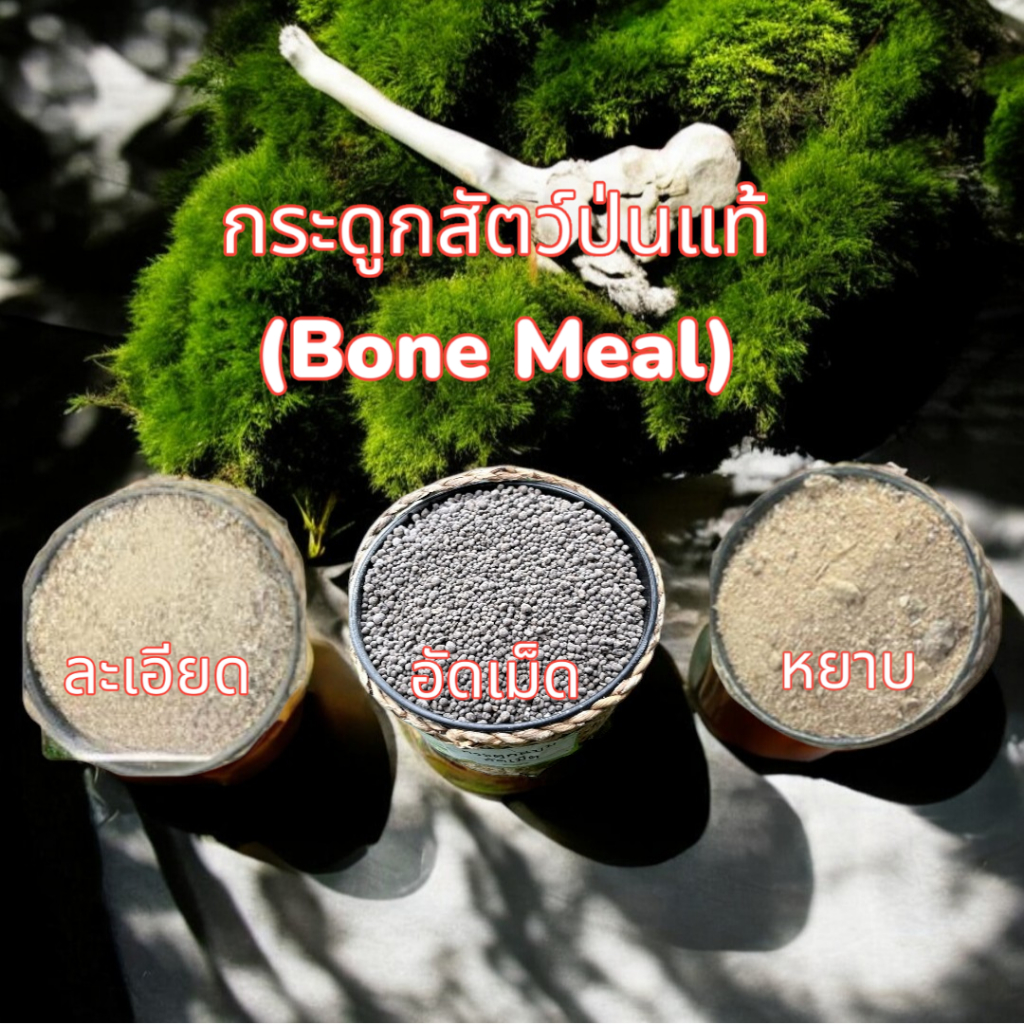 กระดูกสัตว์ป่น (bone meal) แท้ 100%  น้ำหนัก 1.80 Kg เสริมแคลเซี่ยม ฟอสฟอรัส สำหรับ พืช และ สัตว์