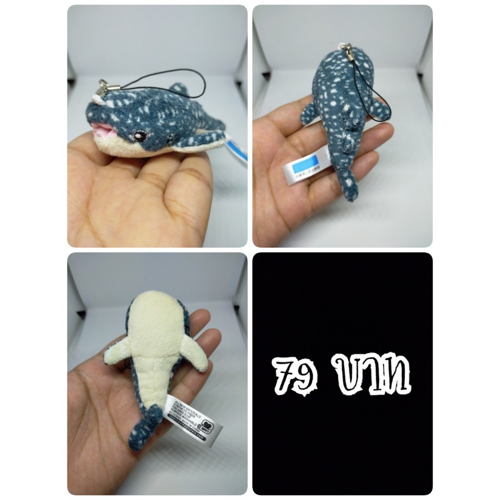 Whale Shark#ฉลามวาฬ#ปลา#Okinawa Churaumi Aquarium#งานพวงญี่ปุ่นมือสอง