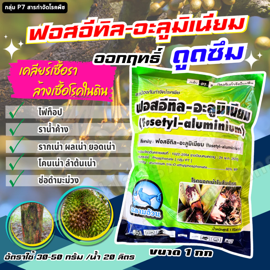 ฟอสอีทิล ฉลาม อะลูมิเนียม 80 ฉลาม 1 กก กำจัด โรคพืช ราน้ำค้าง ตากบตาเสือ โรคเน่า เน่าผล ต้นเน้า รากเน่า โรคเหี่ยวเขียว