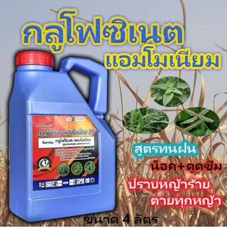 (ยกลัง 6 แกลลอน) กลูโฟซิเนต แอมโมเนียม 4 ลิตร น้ำสีฟ้าสูตรพิเศษ เทวดารวงข้าว สูตรทนฝน กลูโฟ ลูบข้าวดีด หญ้าใบแคบ ใบกว้าง