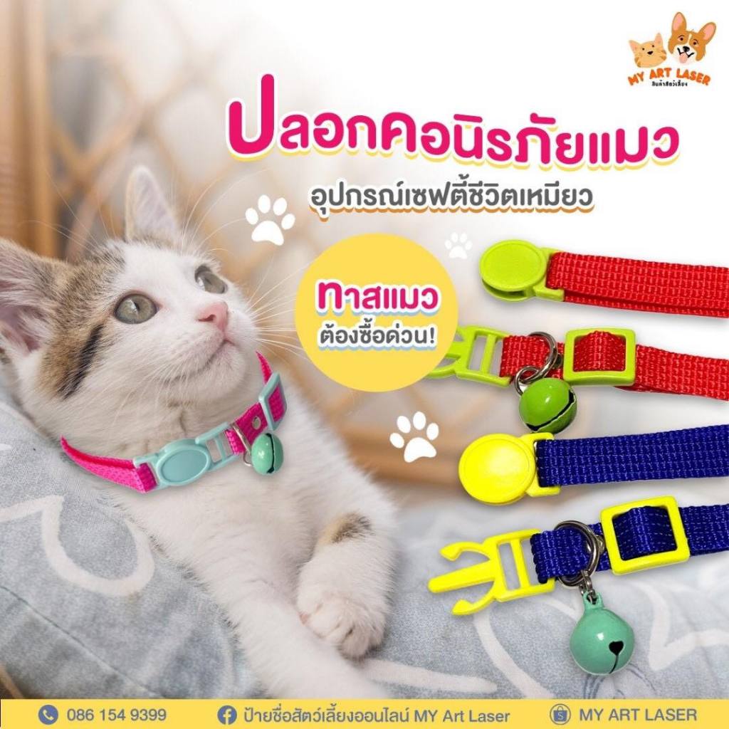 ปลอกคอแมว ลูกสุนัข พร้อมกระดิ่ง(แถมคละสี) ล็อคนิรภัย Safety สินค้าส่งจากไทย (LO)