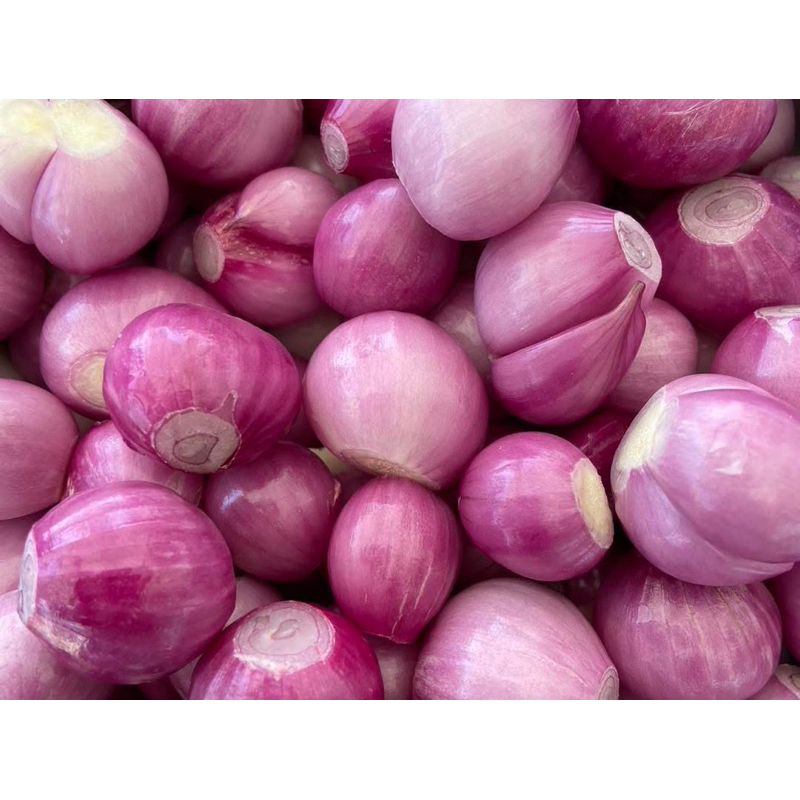 หอมแดงดอง ศรีสะเกษ กระปุกเล็ก200กรัม - รูปที่ 4