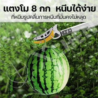 GAIDING【เหล็ก sk5 นำเข้า】กรรไกรตัดกิ่ง ยืดไสลด์ 2.3M-4M อุปกรณ์ตัดแต่งกิ่งมืออาชีพ กรรไกรตัดกิ่งด้ามยาว กรรไกรตัดกิ่งไม้