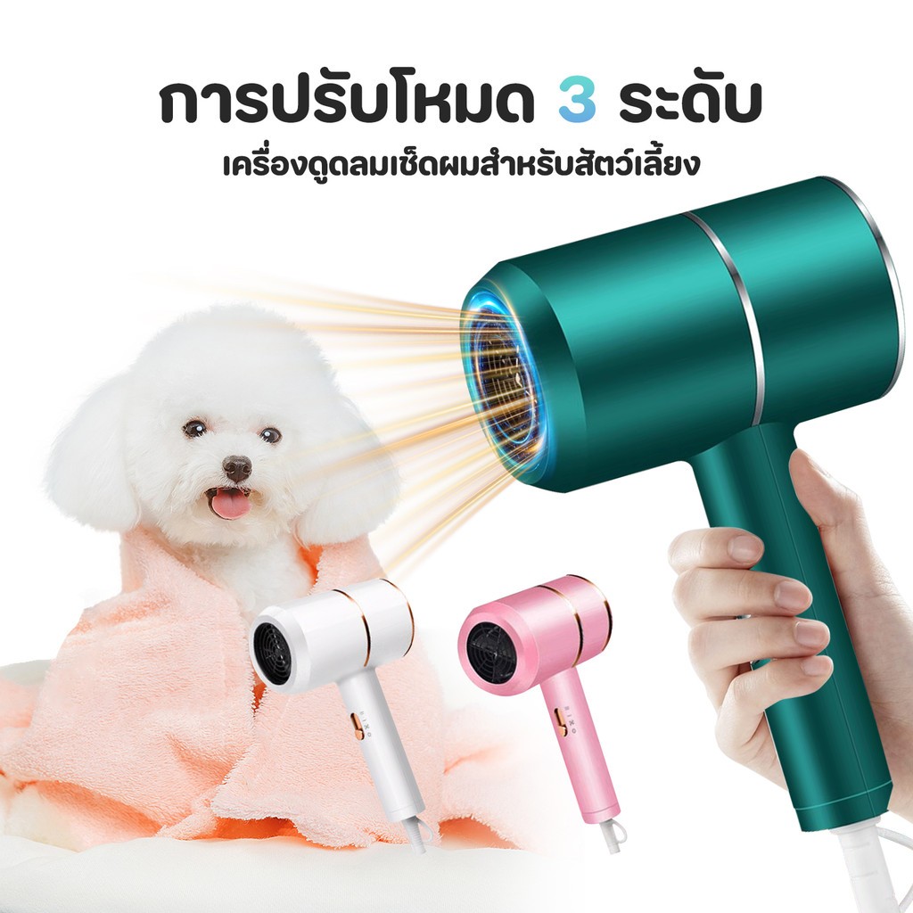 TUBI ต่ำเสียงสัตว์เลี้ยงตัวเป่าลูกสุนัขตัวเป่าแมวเสียงต่ำเสียงต่ำผมฟาสต์เพ็ทเลี้ยงสัตว์เลี้ยงให้แห้ง2800W