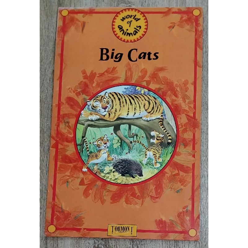 หนังสือเด็ก สมุดภาพสัตว์ภาษาอังกฤษเล่มใหญ่ 28×44 cm. world of animals Big Cats ภาพสวย สีตลอดทั้งเล่ม