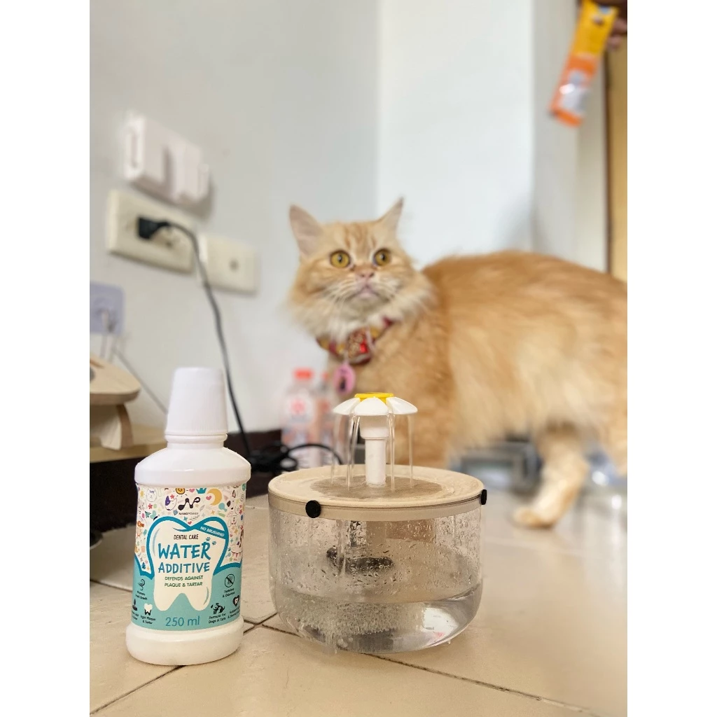 NANOPOWER Dental Care Water Additive 250ml สุนัข-แมว thumbnail 7
