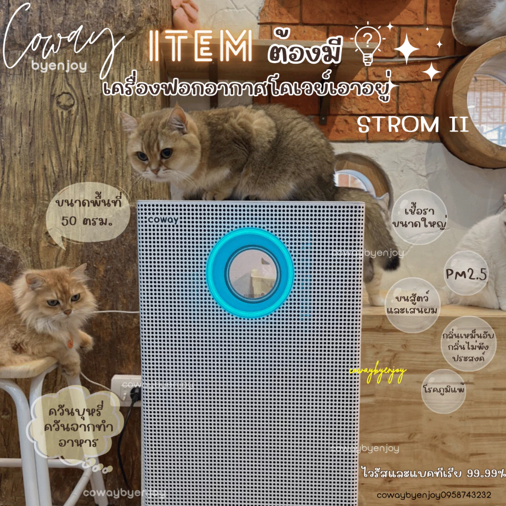 เครื่องฟอกอากาศ Coway รุ่น Storm II thumbnail 3
