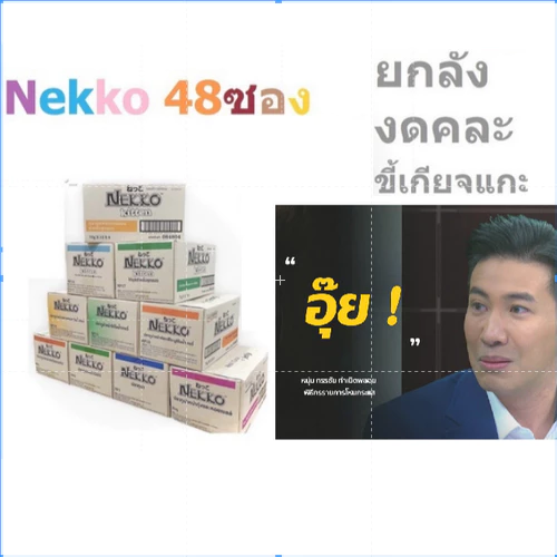 Nekko เน็กโกะ อาหารแมวเปียก ยกลัง 48ซอง (ส่งด่วน ในพื้นที่ที่รองรับ เคลียรอบเช้า รอรับในวัน)