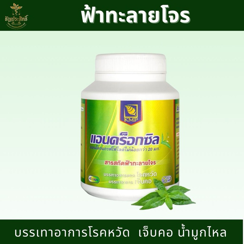 แอนดร็อกซิล 45 แคปซูล ฟ้าทะลายโจรสก้ด