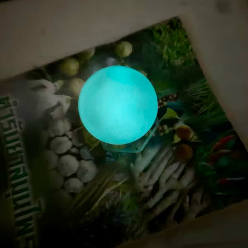 Thumbnail 9