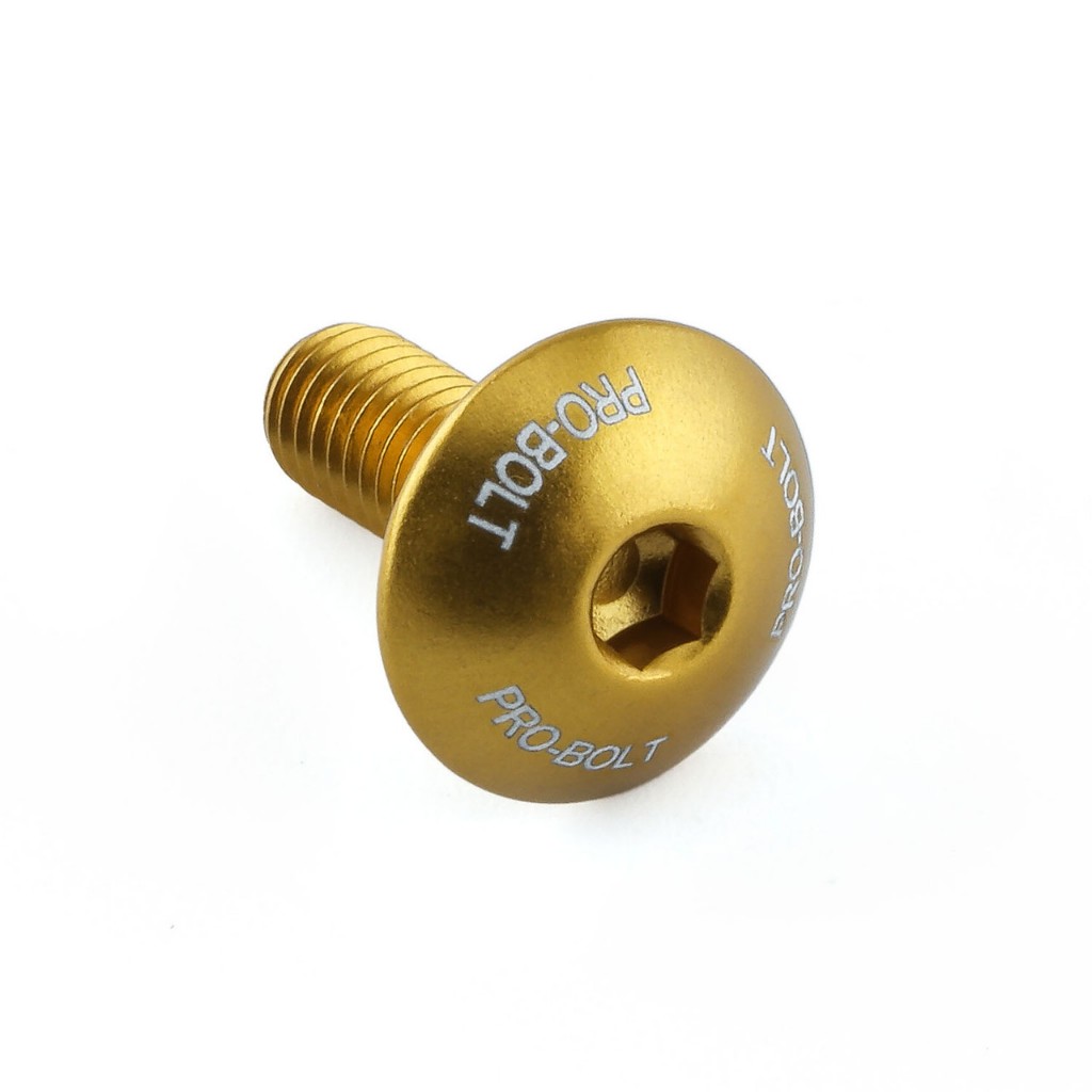 Pro-Bolt อลูมิเนียม หัวโดมสกรีนโลโก้  M6x10,16,20mm