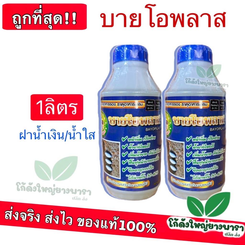(บายโอพลาส น้ำใส) ปุ๋ยเร่งน้ำยาง โฮร์โมนเร่ง สารอาหารเพิ่มน้ำยาง หน้ายางนิ่ม ต้นไม่โทรม บรรจุ1 ลิตร