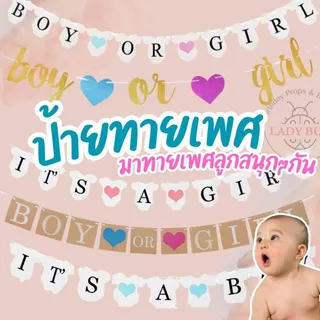 Ladybug ทายเพศลูก ป้ายอักษร It's A BOY It's A GIRL & BOY OR GIRL มาใหม่