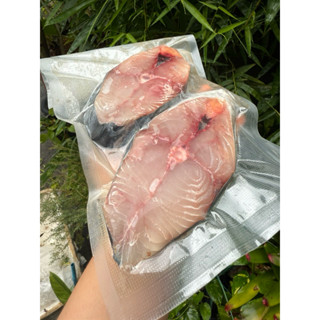 ปลาอินทรีย์สด หั่นแว่น