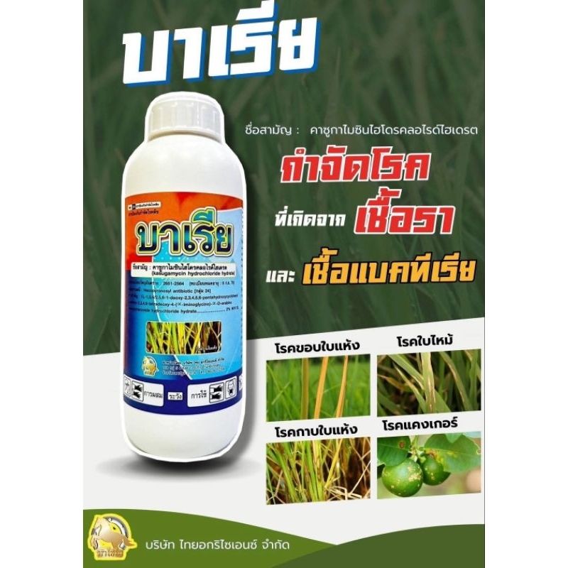 บาเรีย 1 ลิตร(คาซูก้าไมซิน) ป้องกันและกำจัดโรคพืช ที่เกิดจากแบคทีเรีย เชื้อรา เช่น ขอบใบไหม้ ใบขีดสีส้ม ปลายใบส้ม