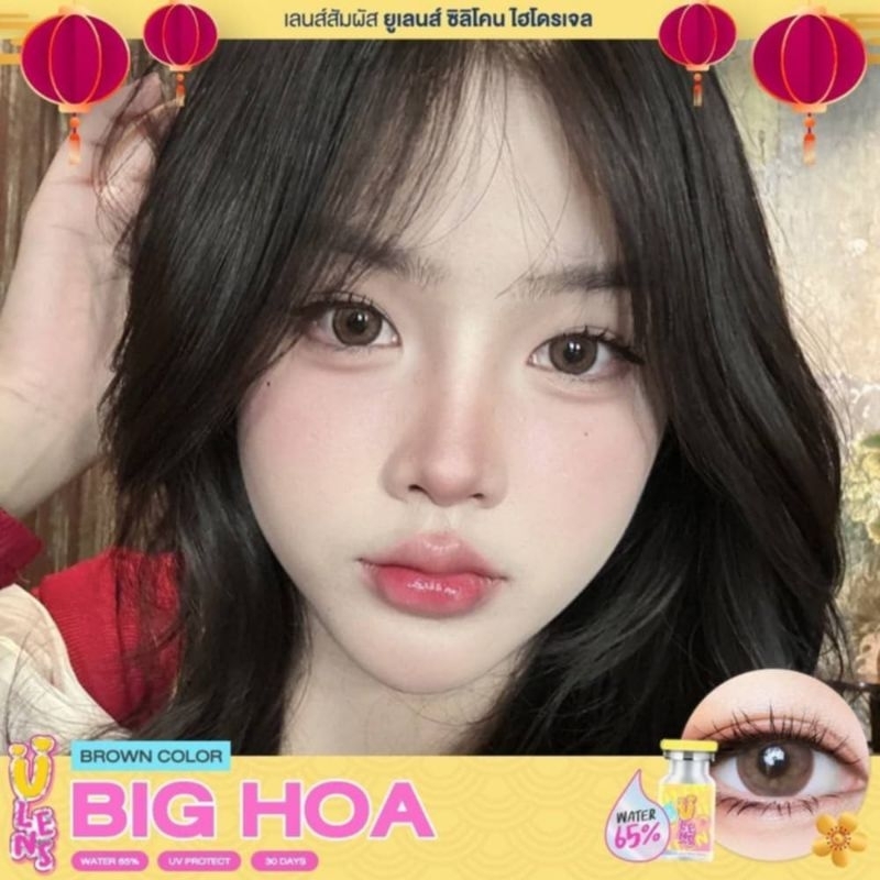 คอนแทคเลนส์ Big Hoa มีสี เทา/ตาล Gray/Brown มีค่าสายตา (0.00)-(-10.00) บิ๊กอาย ตาโต ไฮโดรเจล
