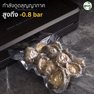 SGE เครื่องซีลถุงสูญญากาศแบบเรียบ แบบกึ่งอุตสาหกรรม VC-EVO แถบซีลหนา 5 มม ประกันศูนย์ไทย