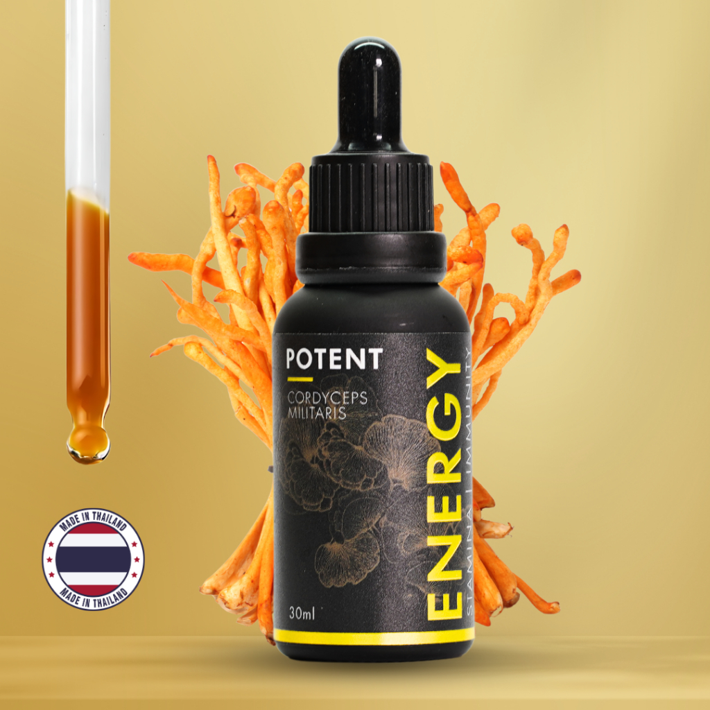 POTENT: ENERGY - Cordyceps Mushroom | 30 ml | 100% Pure Fruiting Body | Energy, Endurance & Immunity | Sugar-Free