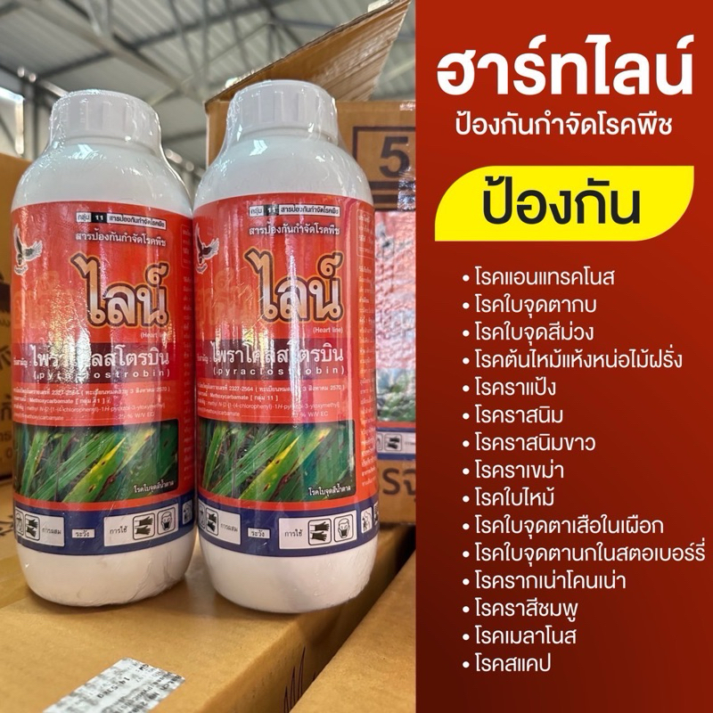 ขนาด 1 ลิตร ฮาร์ทไลน์ (ไพราโคลสโตรบิน 25%EC) กำจัดโรคพืชอยู่หมัด
