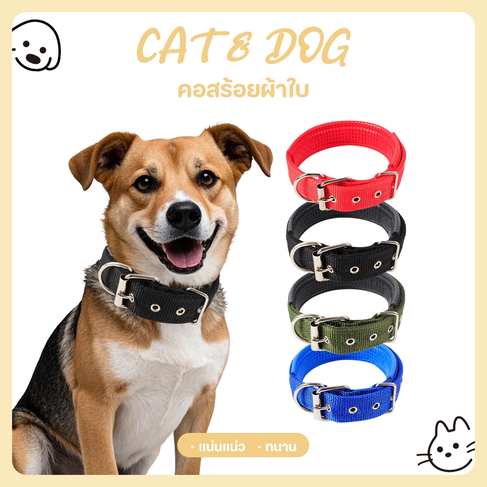【CAT&DOG】ปลอกคอสัตว์เลี้ยง สายรัดบุด้วยโพลีโพรพีลีน มี 4 ขนาด 4 สีให้เลือก สามารถปรับขนาดได้ตามความเหมาะสม