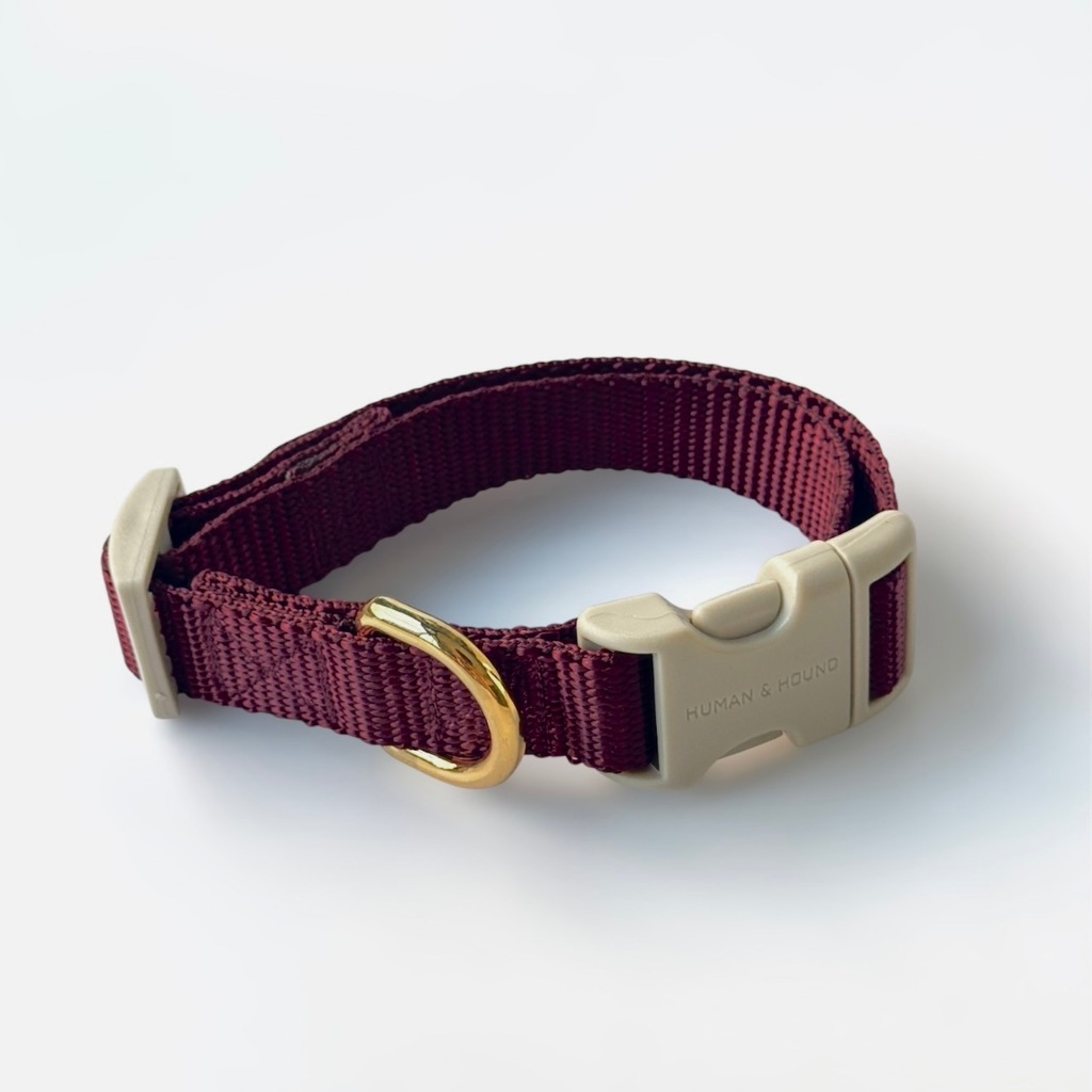 ปลอกคอสุนัข Human and  Hound  รุ่น Quick Snap Collar! - สีแดงเลือดหมู Burgundy