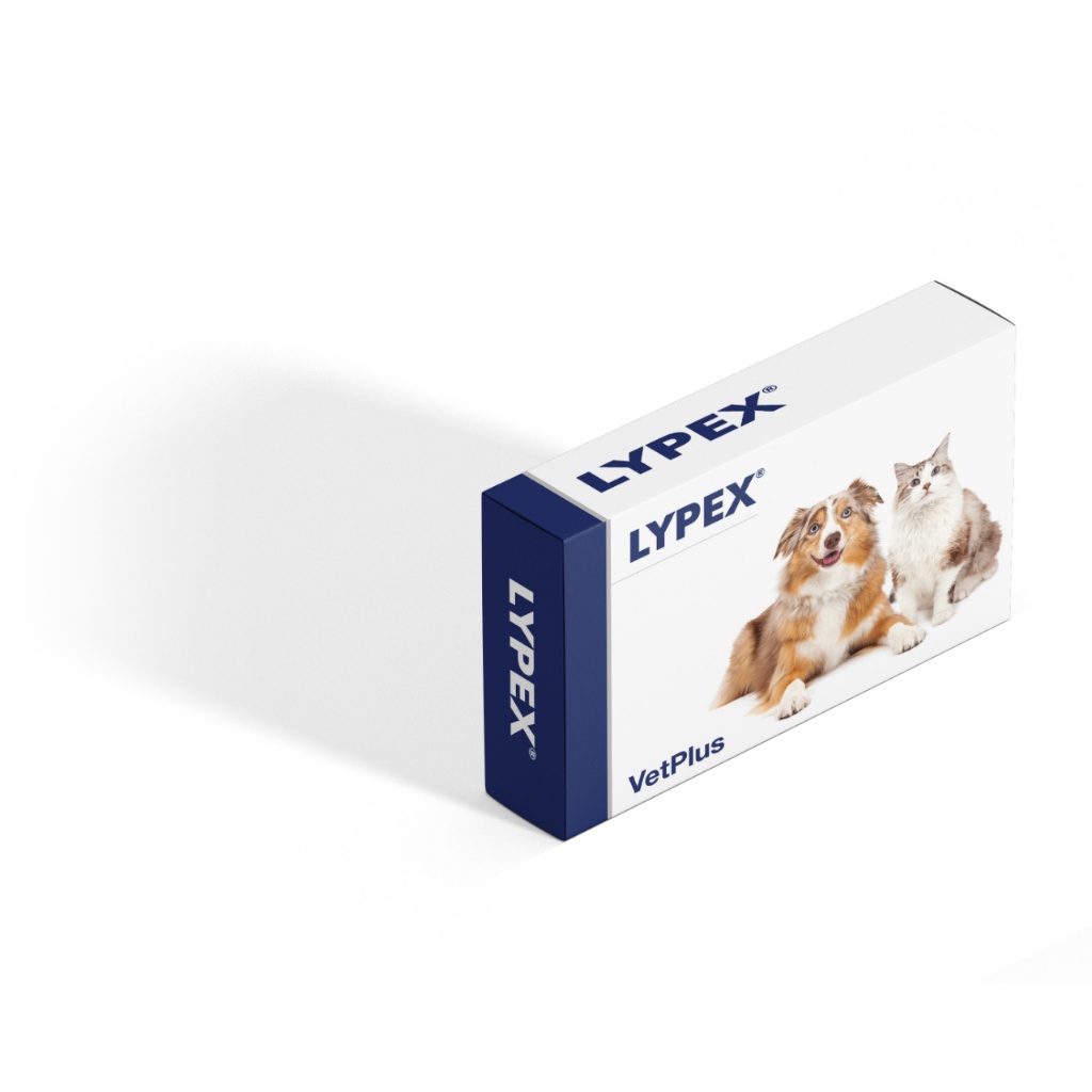 Lypex vetplus พร้อมส่ง ถูกมาก ส่งไว แท้ เอนไซม์ช่วยย่อยอาหารสำหรับสุนัขและแมว