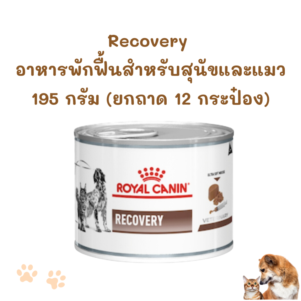 [ถาด12กระป๋อง] exp.03/2027 Recovery Royal Canin อาหารพักฟื้นสำหรับสุนัขและแมว โรยัล คานิน รีคอฟเวอรี่
