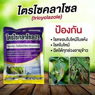 ไตรไซคลาโซล75 จาก Anna ขนาด 100 กรัม ป้องกันโรคใบไหม้ โรคขอบใบไหม้ใบแห้ง