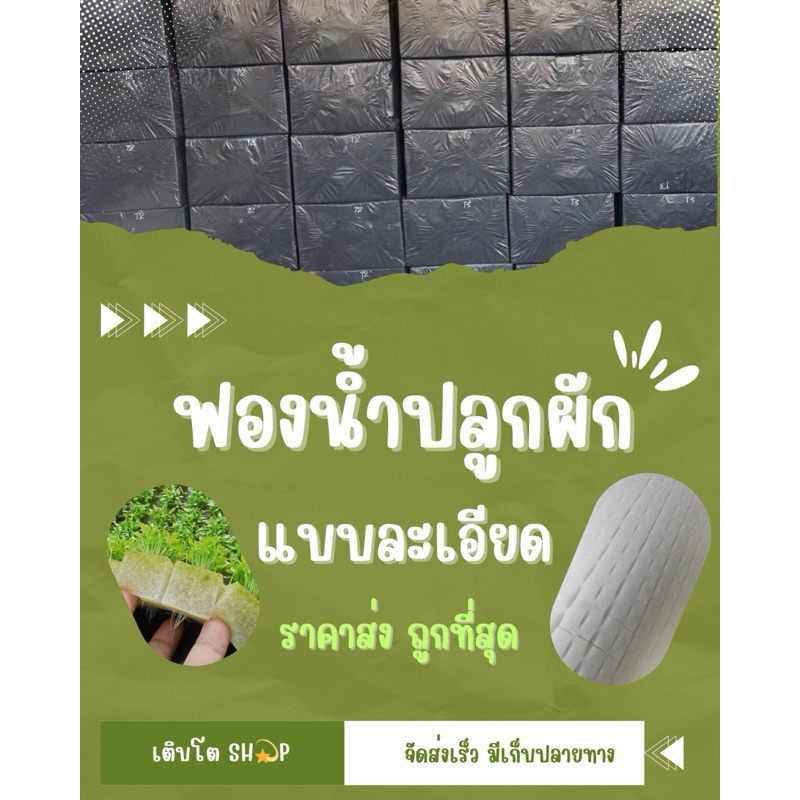 ฟองน้ำเพาะเมล็ด เพาะกล้า ปลูกผักไฮโดรโปนิกส์ เนื้อละเอียด 96 ก้อนต่อแผ่น ยกแพ็ค 100 แผ่น