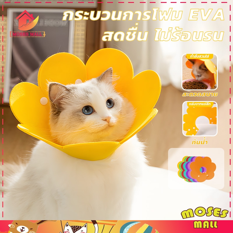 คอลล่าแมว คอลล่าหมา ปลอกคอกันเลีย สุนัข ปลอกคอดอกไม้ คอลล่าดอกไม้ ปลอกคอสัตว์เลี้ยง