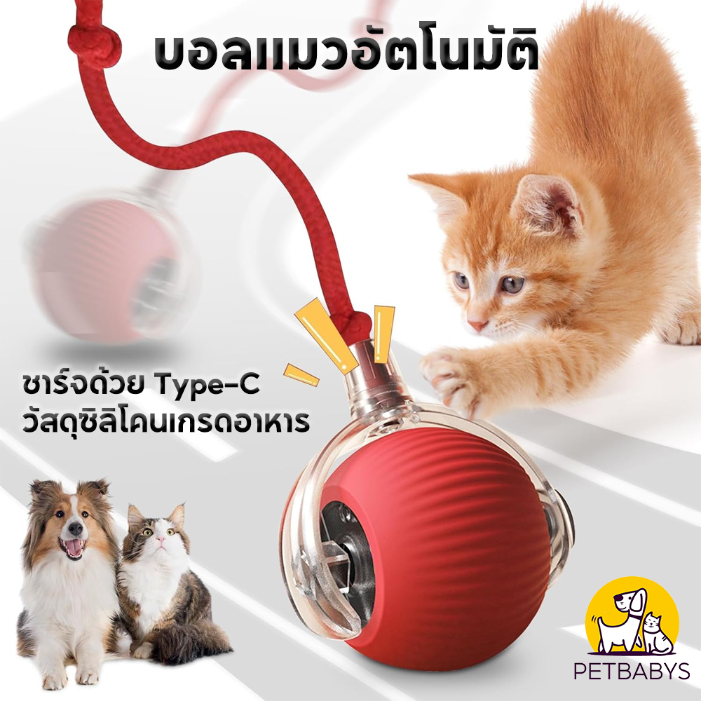ลูกบอลแมว บอลแมวอัตโนมัติ ชาร์ตแบตได้  ของเล่นแมว สมาร์ทไฟฟ้า หมุนได้ ของเล่นแมวโต้ตอบ