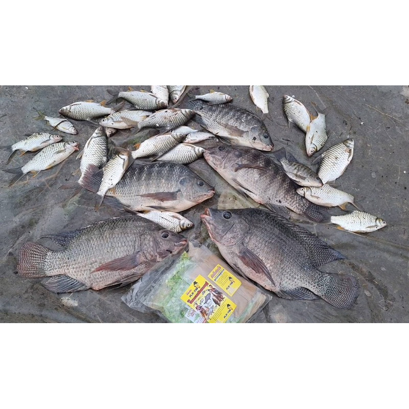 ชุดเหยื่อตกปลา(ปลายิ้ม)พร้อมตก เหยื่อตกปลาชุดรวมเหยื่อ2กิโลกรัม 5กิโลกรัม มีให้เลือก 2 แบบ 1.ชุดตกยี่สก2.ชุดตกปลารวม - รูปที่ 4