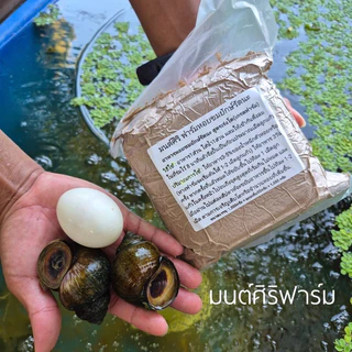 อาหารหอยขมยักษ์รัตนะ สูตรเร่งโต เกรดฟาร์ม แก้ปัญหาหอยโตช้าหรือหอยไม่ออกลูกเนื่องจากสารอาหารที่สะสมไม่เพียงพอ