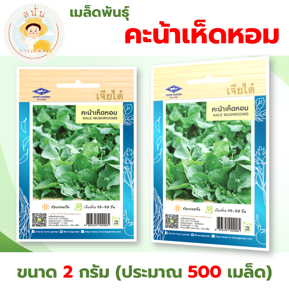 เมล็ดพันธุ์ คะน้าเห็ดหอม (Kale Mushrooms) คะน้า ผักซอง เจียไต๋ OP ขนาด 2 กรัม (ประมาณ 500 เมล็ด)