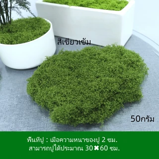 "กรุงเทพ 24 ชม. หลังส่ง" มอสเทียม มอส อุปกรณ์ตกแต่งสวน บอนไซสนามหญ้า ตกแต่งกระถาง ออกแบบภูมิทัศน์ ต้นไม้สีเขียว