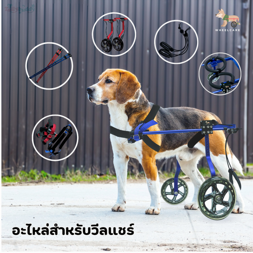 อะไหล่สำหรับ WHEELCARE - wheelchair dog  วีลแชร์ รถเข็น สำหรับสัตว์พิการขาหลัง ทำจากอลูมิเนียมอัลลอย