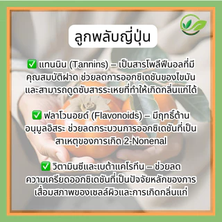🇯🇵 สบู่ลูกพลับญี่ปุ่น ผสมชาเขียว ก้อนใหญ่100g. แถมเส้นใยขัดผิว 🫧