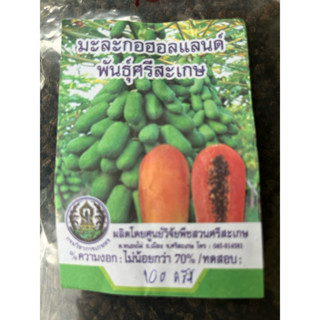 เมล็ดพันธุ์มะละกอฮอลแลนด์เตี้ย จำนวน 20 เมล็ด เมล็ดพันธุ์ของ…