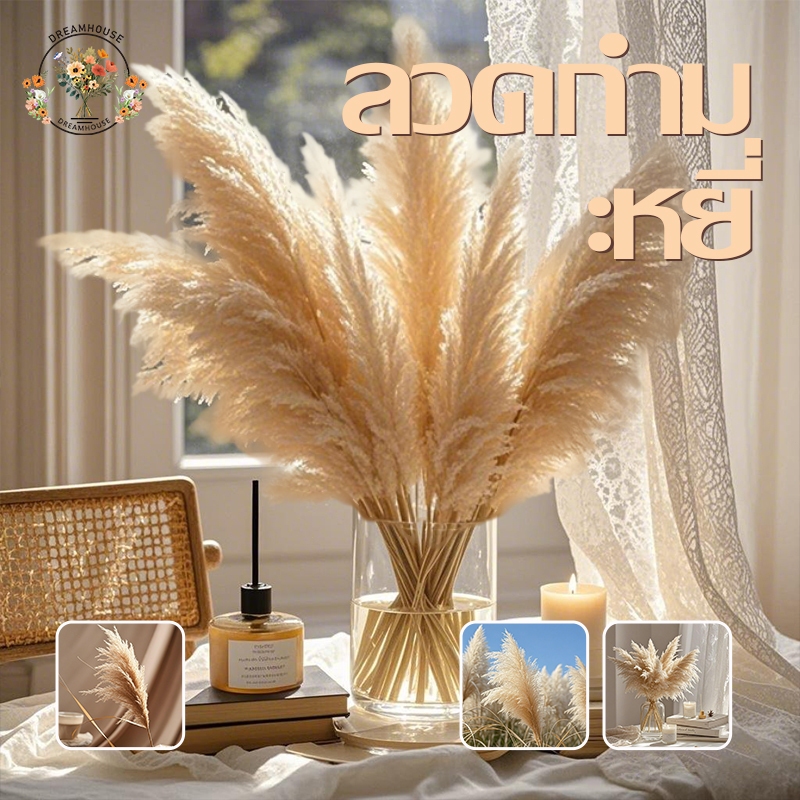 จําลองช่อดอกไม้ Reed Fur Panpas  หญ้าห้องนั่งเล่นพืชสีเขียวตกแต่งบ้านการถ่ายภาพงานแต่งงาน(พร้อมส่ง)
