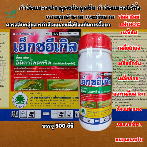 อิมิดาโคลพริด เอ็กซอีเกิล ขนาด 500 ซีซี  เพลี้ยไฟ เพลี้ยไก่แจ้ เพลี้ยจักจั่น เพลี้ยอ่อน และเพลี้ยต่างๆ หนอนชอนใบ ด้วงเต่