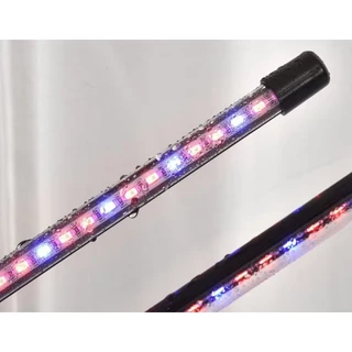 🌞ไฟปลูกต้นไม้ USB LED แบบขาหนีบ สำหรับปลูกต้นไม้ในที่ร่มไร้เเดด กินไฟน้อย เปิด-ปิดอัตโนมัติ ประกัน 1 เดือนค่ะ