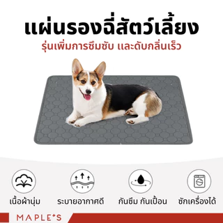 MAPLE'S แผ่นรองฉี่สัตว์เลี้ยง Pet Pee Pad ซักใช้ซ้ำได้ ผ้าซับฉี่ ผ้ารองฉี่หมา คลุมเบาะ แผ่นเจลเย็น