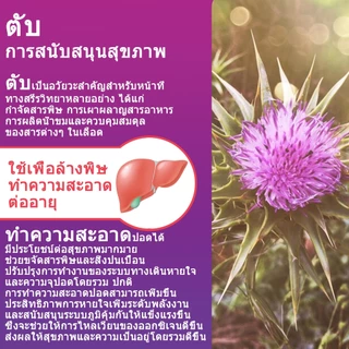 ISNIH Milk Thistle Capsule แคปซูลมิลค์ทิสเซิลช่วยบำรุงการทำงานของตับให้แข็งแรง อาหารเสริมมิลค์ทิสเซิลทำความสะอาดตับ