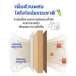 🔥นำเข้าจากญี่ปุ่น🔥 น้ำยาฆ่าเชื้อรา น้ำยากำจัดเชื้อรา สเปรย์กำจัดเชื้อรา 500ml สเปรย์ฆ่าเชื้อรา ทำความสะอาดขจัดคราบสกปรก